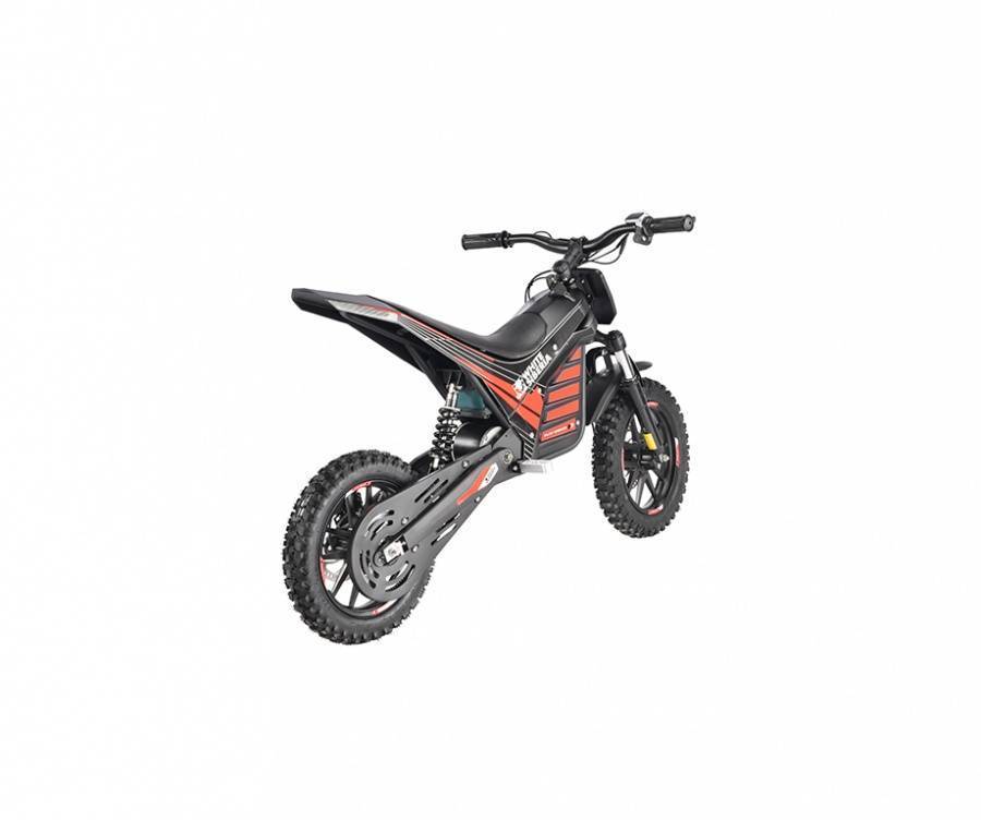ZXT_2304