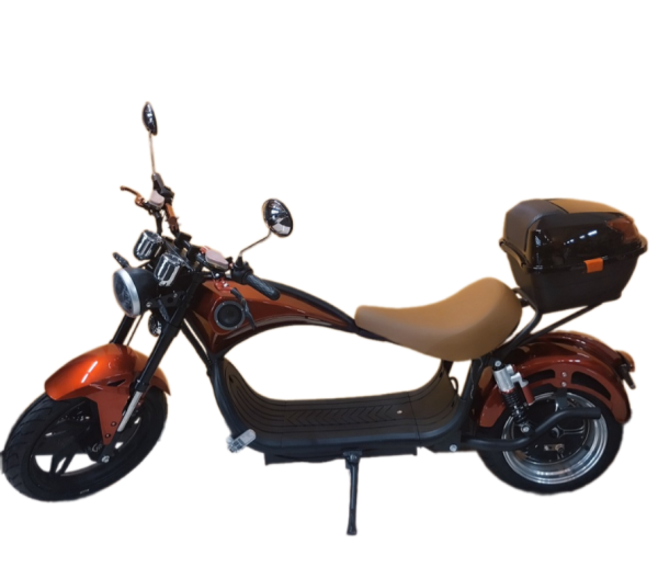 Remove-bg.ai_1732197766734